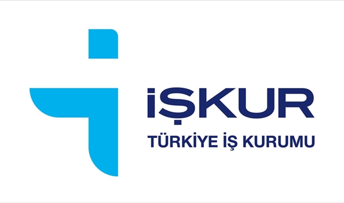 Türkiye İş Kurumu (İŞKUR), iş gücü piyasasının ihtiyaçlarını karşılayabilmek ve
