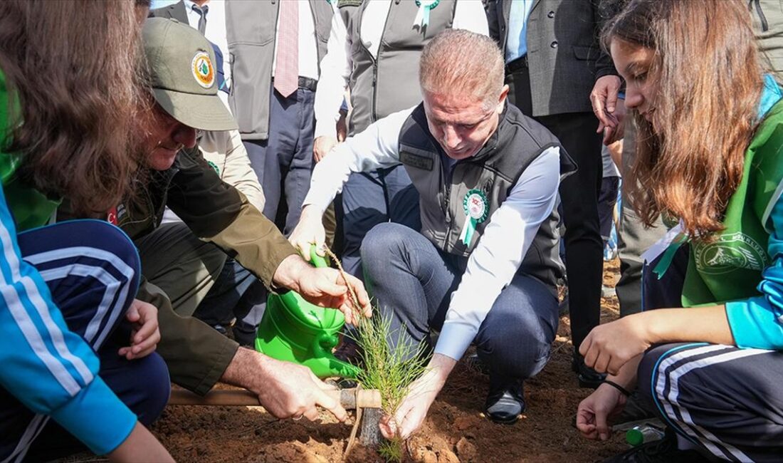 İstanbul Valiliğinin "Türkiye Öğrenci Meclisleri Türkiye Yüzyılı Ormanı" projesi kapsamında