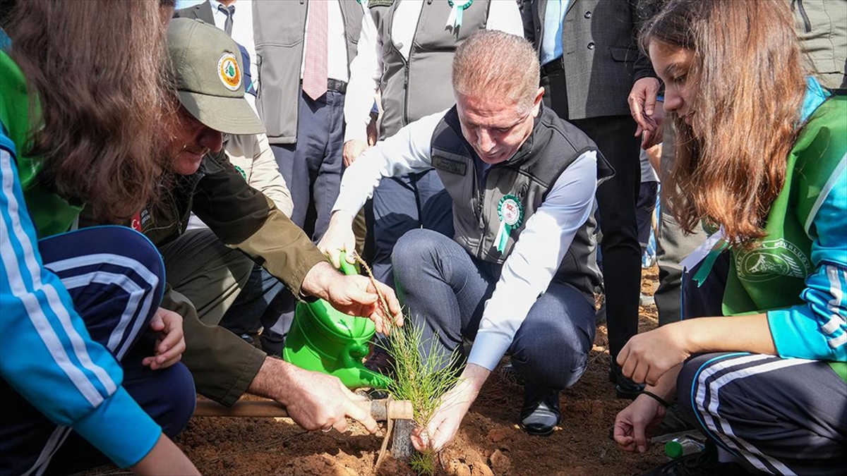 İstanbul Valiliğinin "Türkiye Öğrenci Meclisleri Türkiye Yüzyılı Ormanı" projesi kapsamında