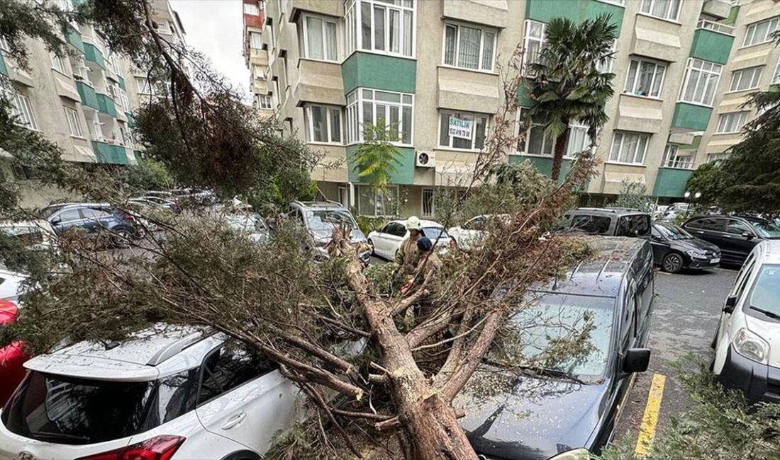 İstanbul'da fırtına hayatı olumsuz etkiledi İstanbul'da fırtınanın etkisiyle kentin bazı noktalarında ağaçlar devrildi, çatılar uçtu,