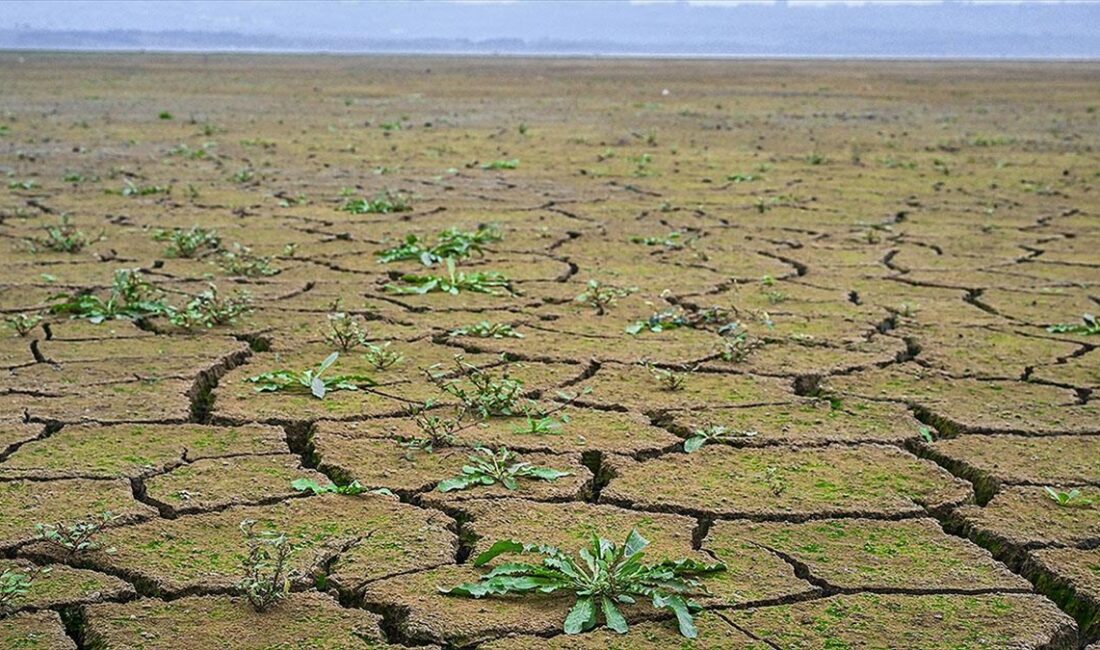 Kuraklık nedeniyle toprağın kuruyarak çatladığı Büyükçekmece Gölü'nde su seviyesi yüzde