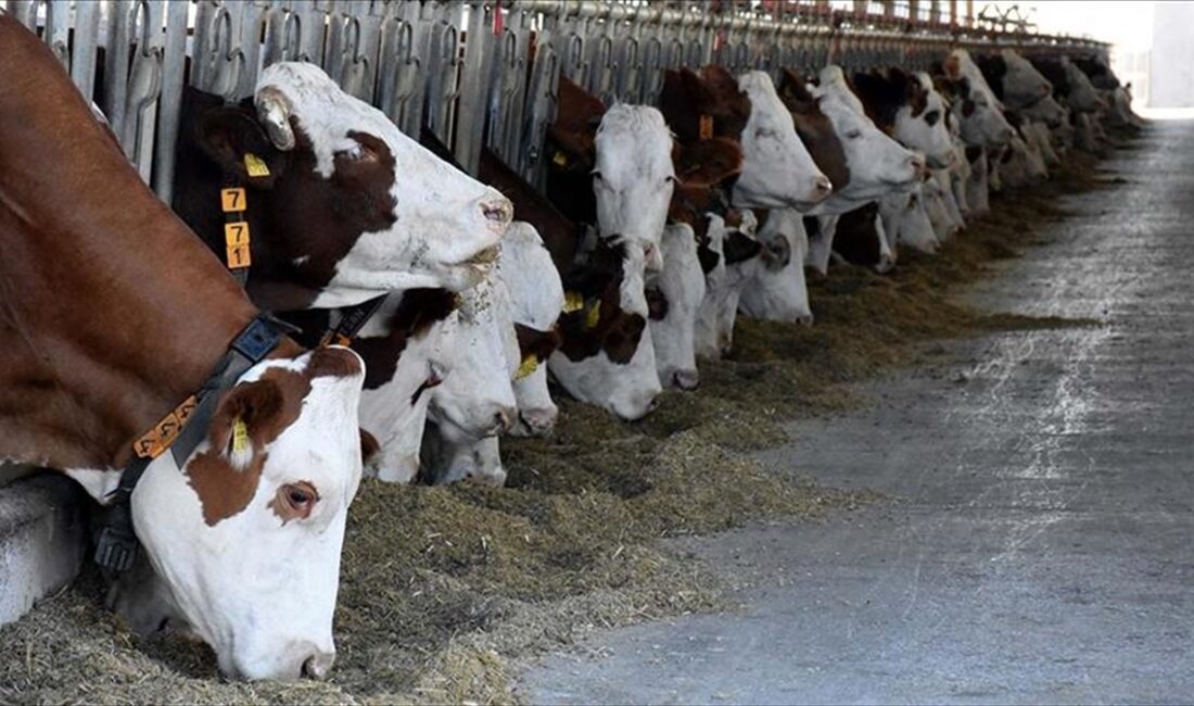 Tarım ve Orman Bakanlığı koordinesinde, Kahramanmaraş merkezli depremlerden etkilenen Dulkadiroğlu