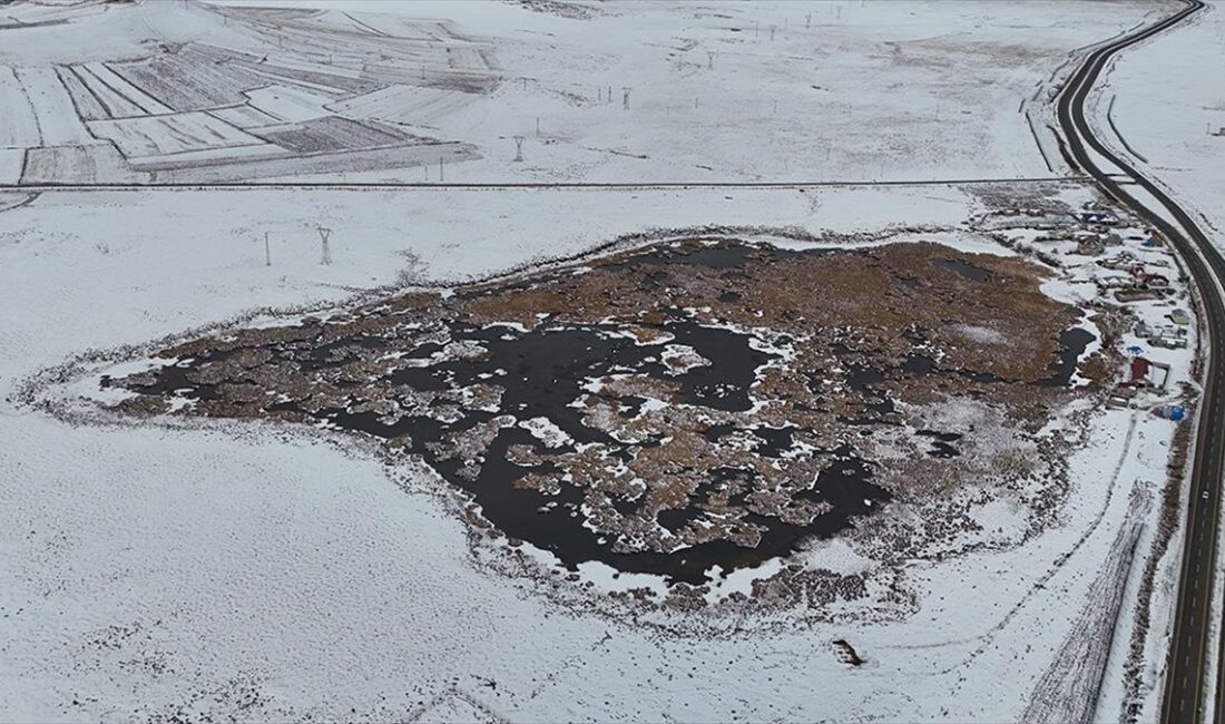 Kars'ta, 2 bin 237 rakımda bulunan Çalı Gölü'nde, soğuk havanın
