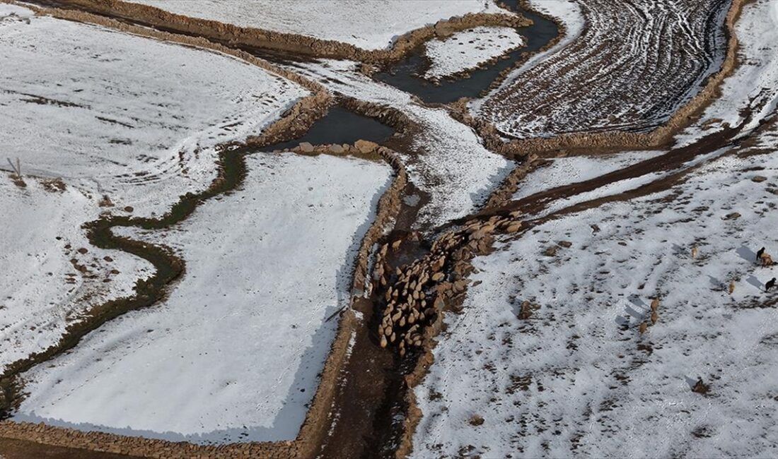 Kars'ta etkili olan kar yağışıyla beyaza bürünen yüksek kesimlerdeki yerleşim