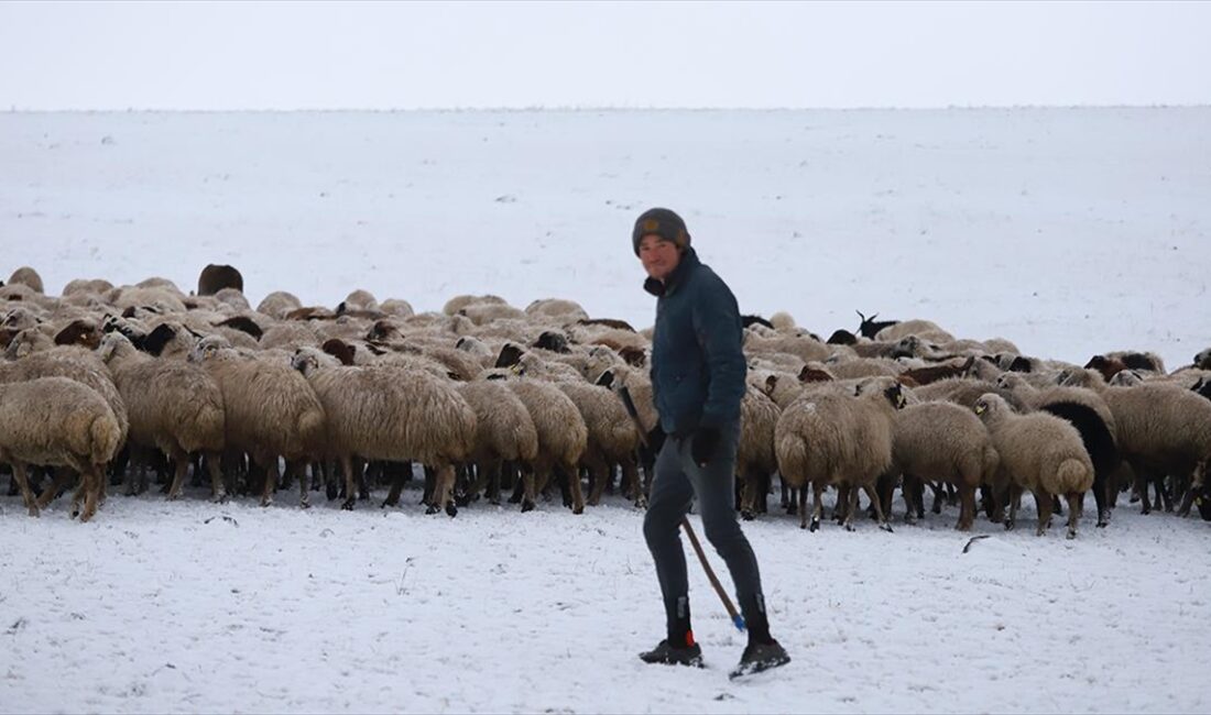 Kars'ta merada sürülerini otlatırken kar yağışına yakalanan besiciler zor anlar