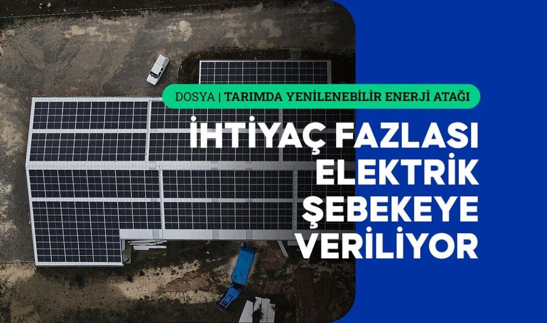 Taşköprü ilçesindeki sarımsak işleme fabrikasının çatısına TKDK desteği ile güneş