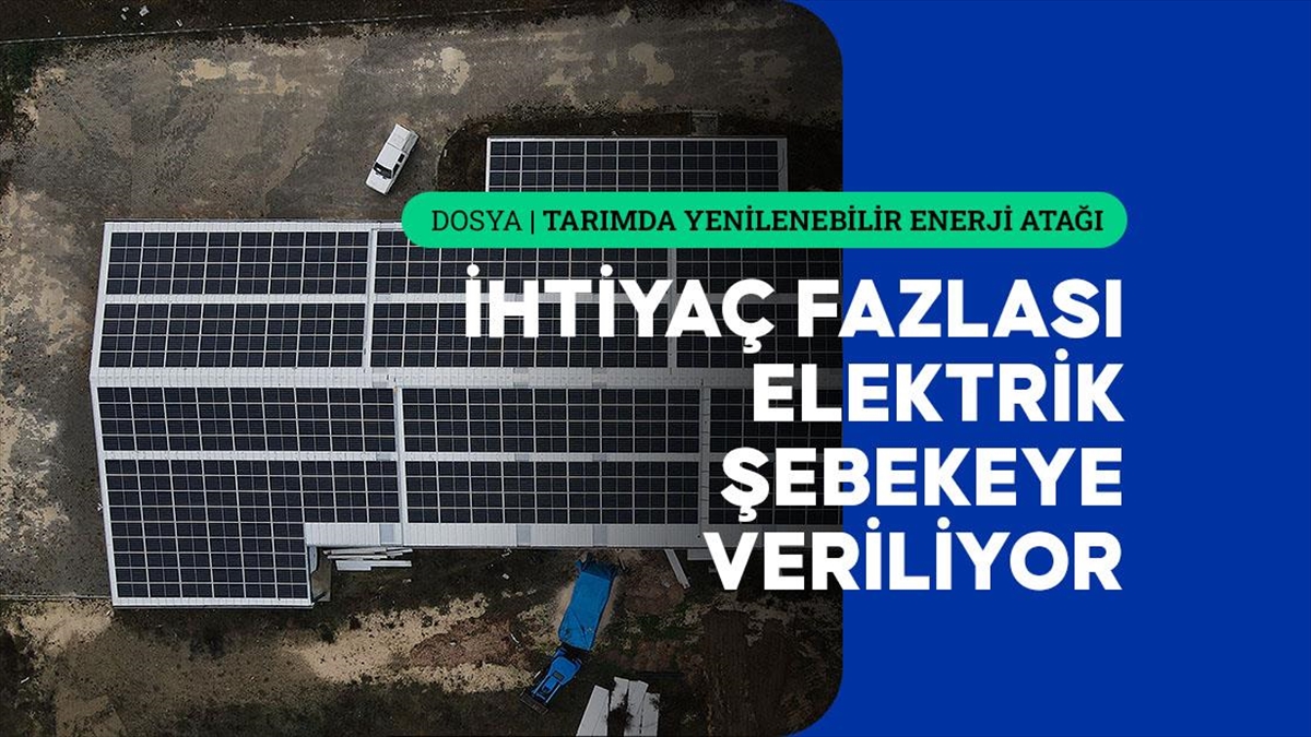 Taşköprü ilçesindeki sarımsak işleme fabrikasının çatısına TKDK desteği ile güneş