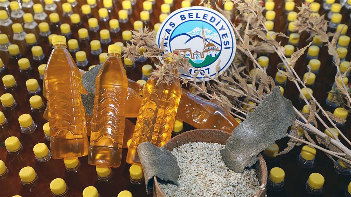 Kayseri Talas Belediyesince ekilen aspirden elde edilen yağın bir kısmı