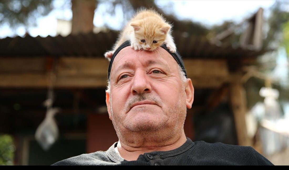 Bingöl'de yaşayan emekli inşaat mühendisi Mustafa Çolakoğlu, kentin en işlek