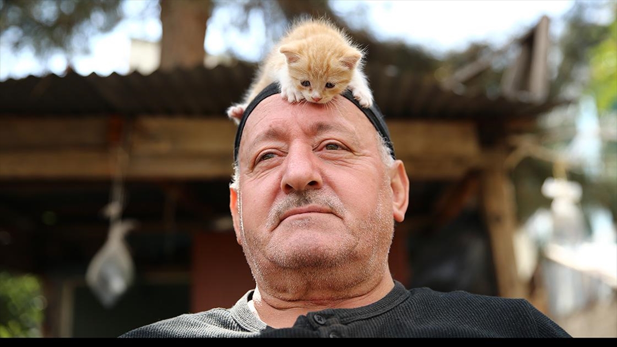 Bingöl'de yaşayan emekli inşaat mühendisi Mustafa Çolakoğlu, kentin en işlek