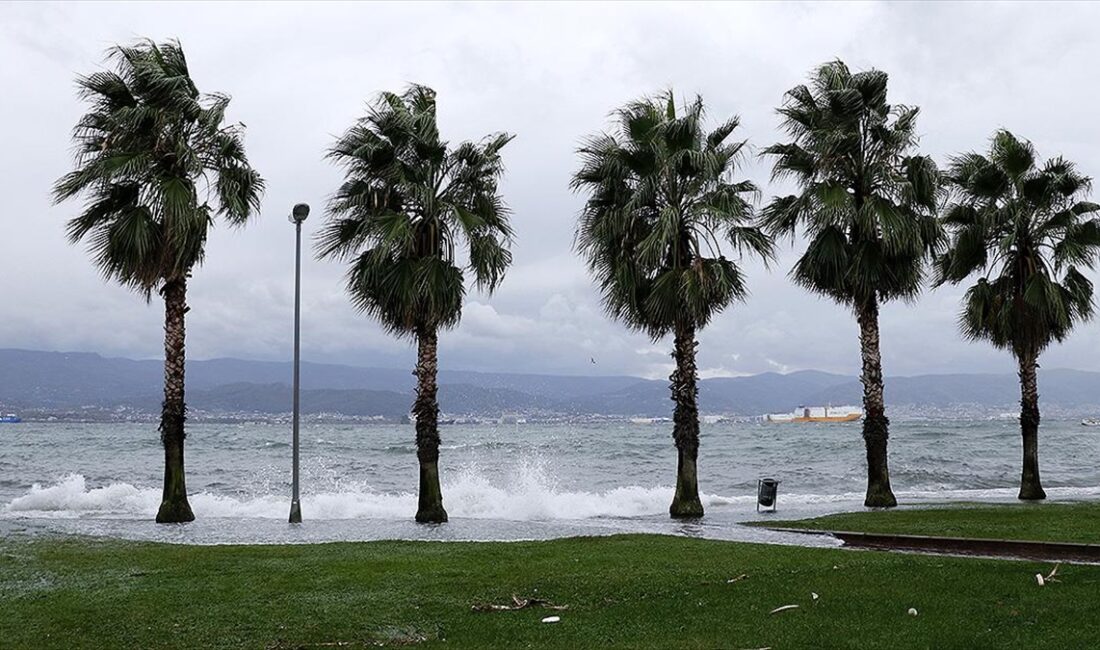 Kocaeli ve Düzce'de kuvvetli rüzgar etkili oluyor Kocaeli ve Düzce'de kuvvetli rüzgar, günlük yaşamı olumsuz etkiliyor.