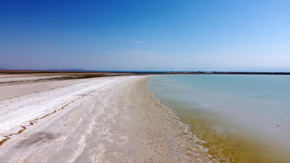 Bitlis'in Adilcevaz ilçesinde çok sayıda kuş türüne ev sahipliği yapan
