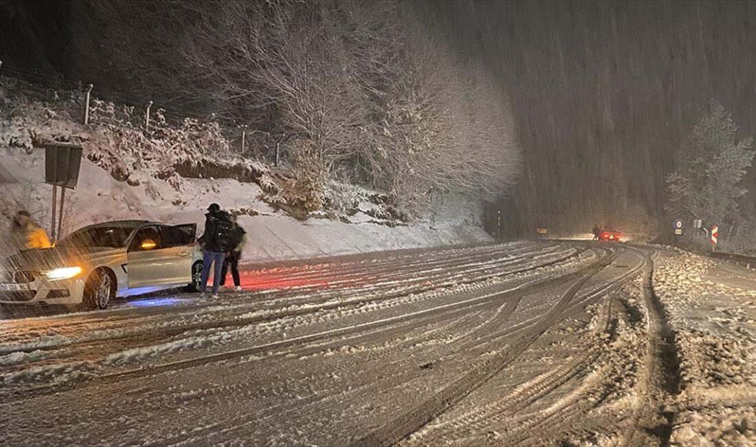 Kütahya'nın Domaniç ile Bursa'nın İnegöl ilçelerini birbirine bağlayan kara yolu,