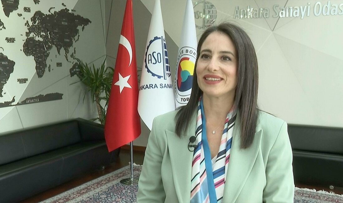 TOBB Ankara İl Kadın Girişimciler Kurulu İcra Komitesi Başkanı Öztürk,