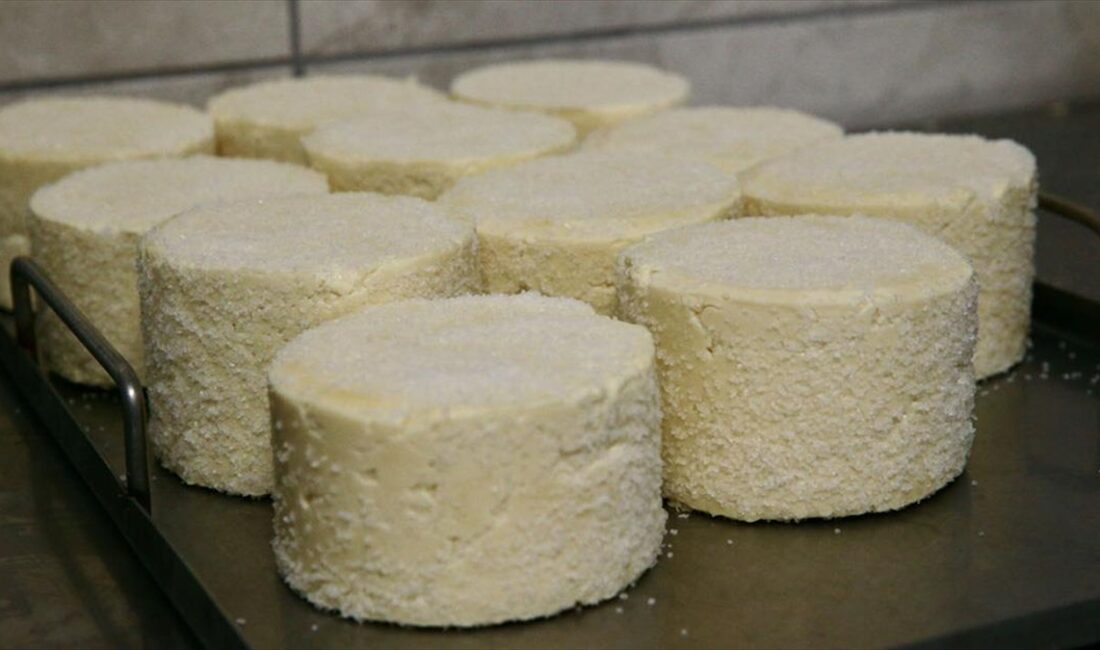BOLU (AA) – Bolu’da kurulan kooperatif tesisinde seri üretimine başlanan