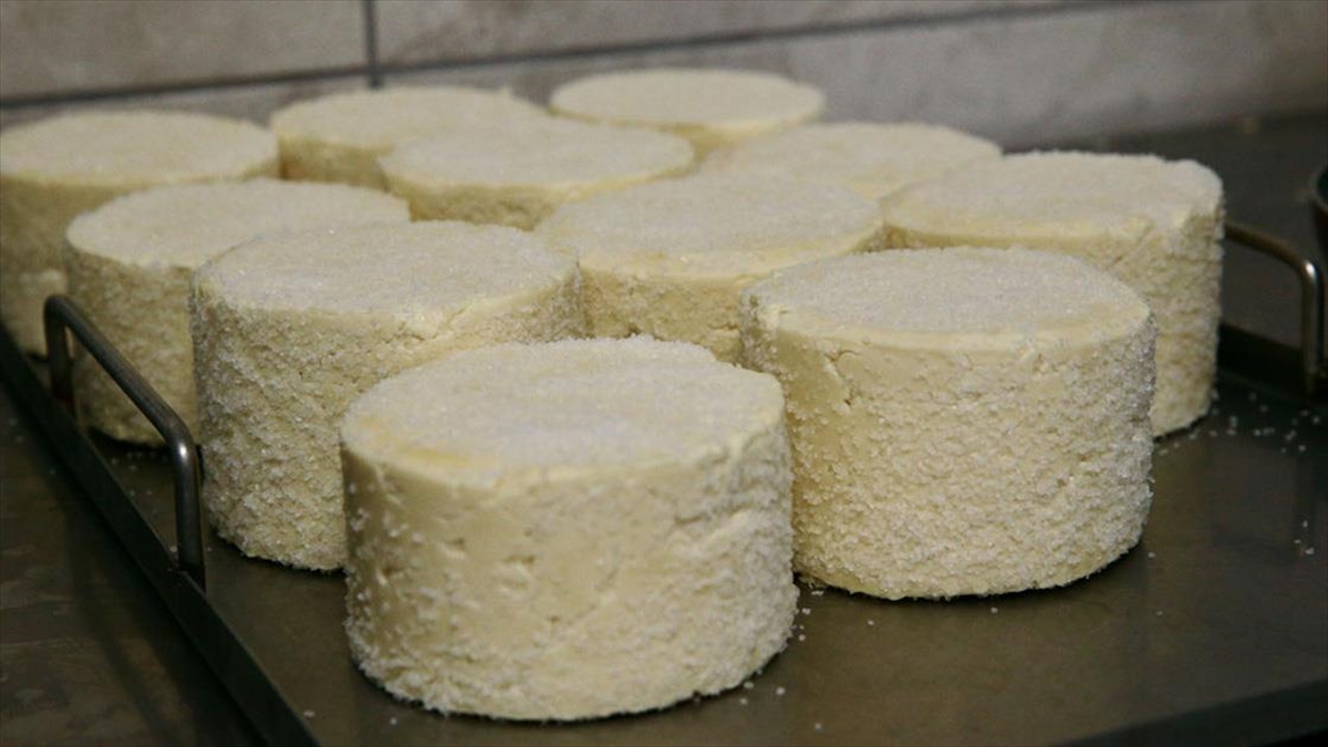 BOLU (AA) – Bolu’da kurulan kooperatif tesisinde seri üretimine başlanan