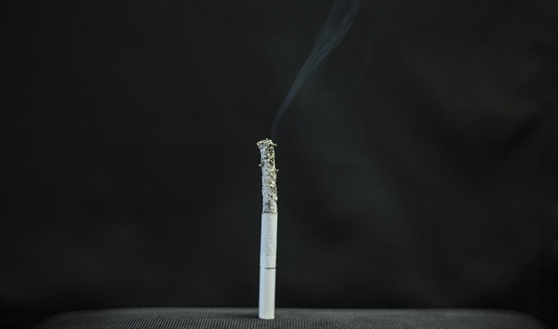 Light, mentollü, meyve aromalı gibi çeşitli isim ve içerikteki sigaraların,