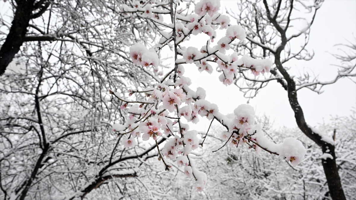 Prof. Dr. Murat Türkeş, havaların soğumaya başlamasıyla ortaya atılan "La