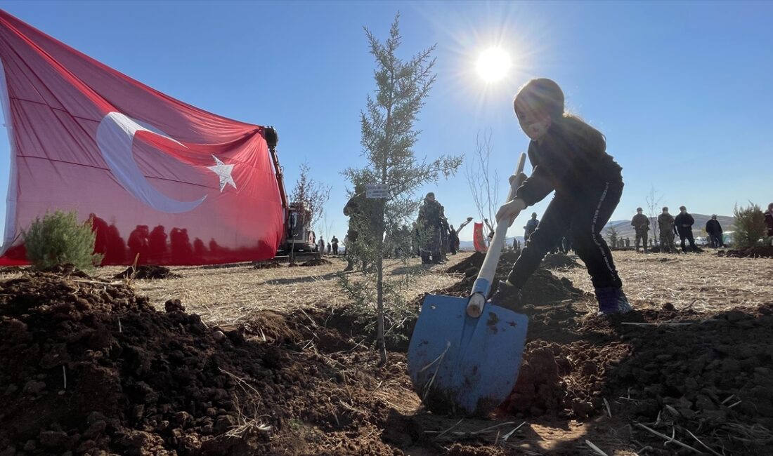 Tarım ve Orman Bakanlığı Orman Genel Müdürlüğü tarafından 2019'dan beri