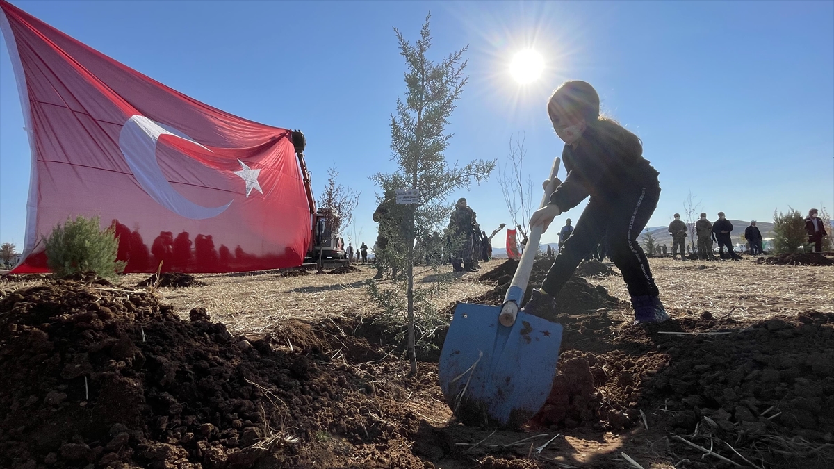 Tarım ve Orman Bakanlığı Orman Genel Müdürlüğü tarafından 2019'dan beri