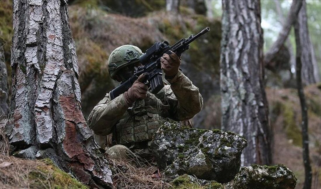 Milli İstihbarat Teşkilatı (MİT), terör örgütü PKK/KCK'nın sözde Hakurk toplumsal