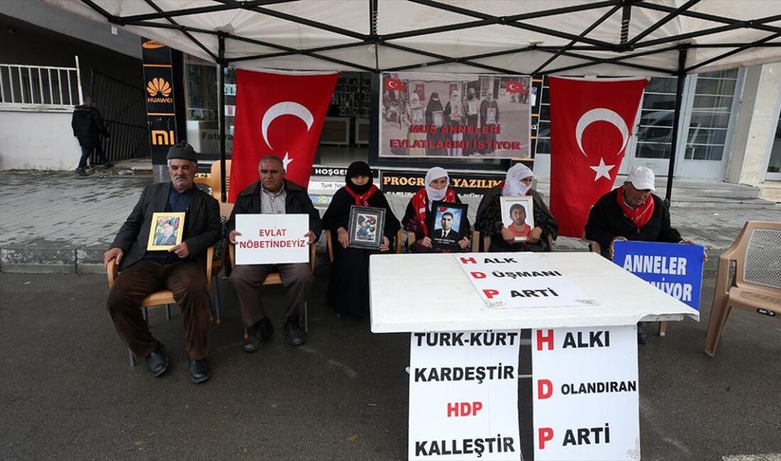 Muş'ta çocuklarının terör örgütü PKK tarafından dağa götürülmesinden HDP'yi sorumlu