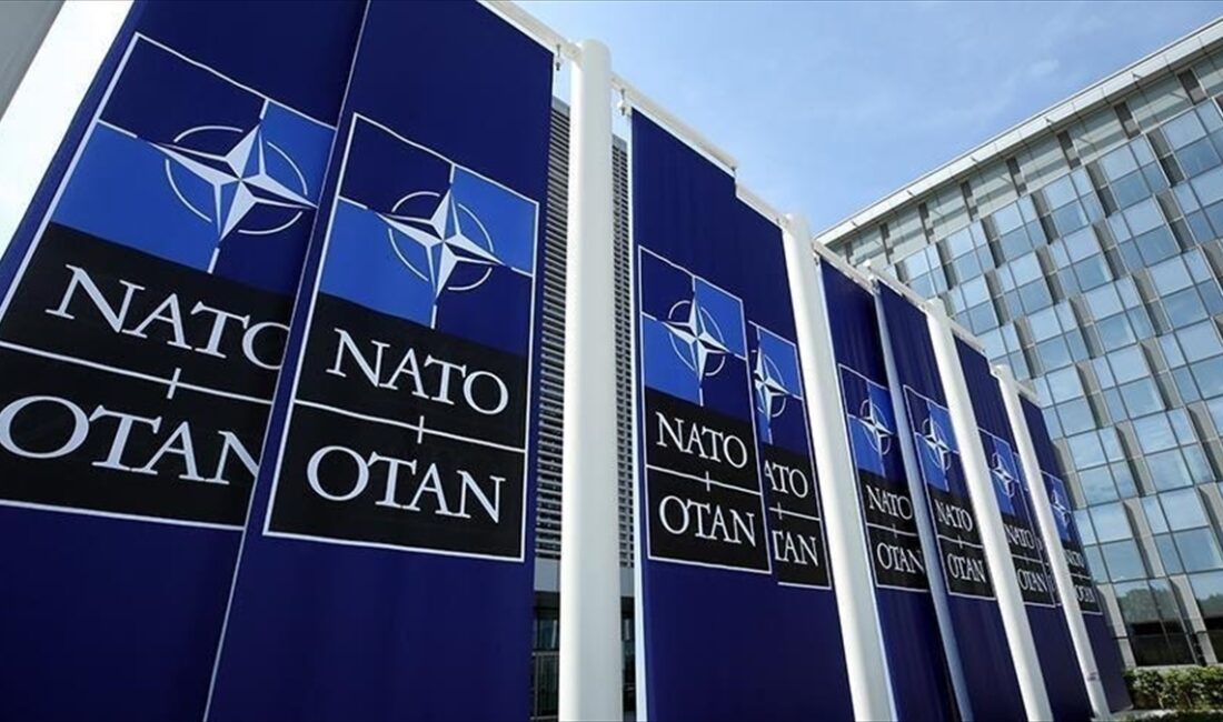 NATO Genel Sekreter Yardımcısı Mircea Geoana, Rusya'nın Ukrayna'ya karşı savaşının