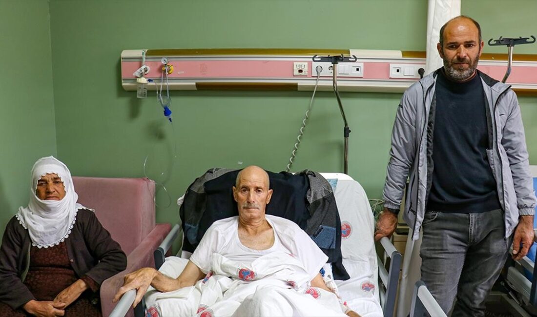 Van'ın Muradiye ilçesinde oğlunun askerde öğrendiği kalp masajını uygulamasıyla hayata