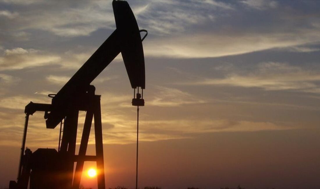 OPEC ve OPEC dışı bazı üretici ülkelerden oluşan OPEC+ grubunun