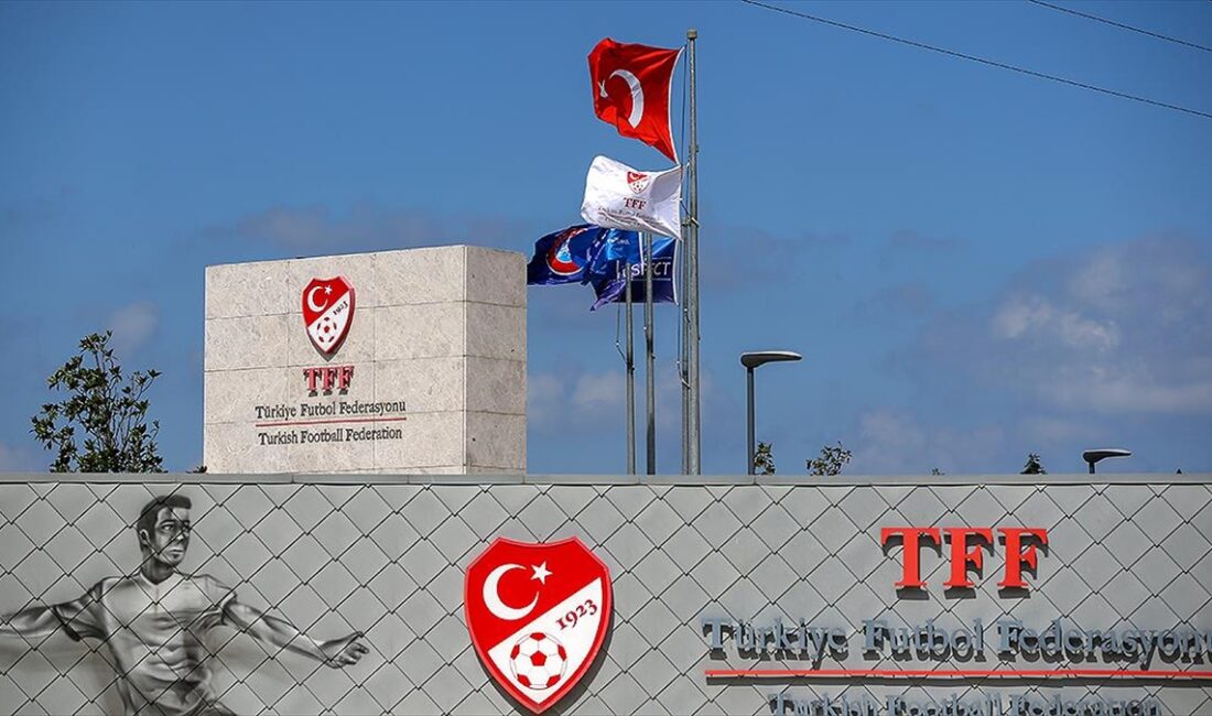 Türkiye Futbol Federasyonu (TFF) Profesyonel Futbol Disiplin Kurulu (PFDK), Trendyol
