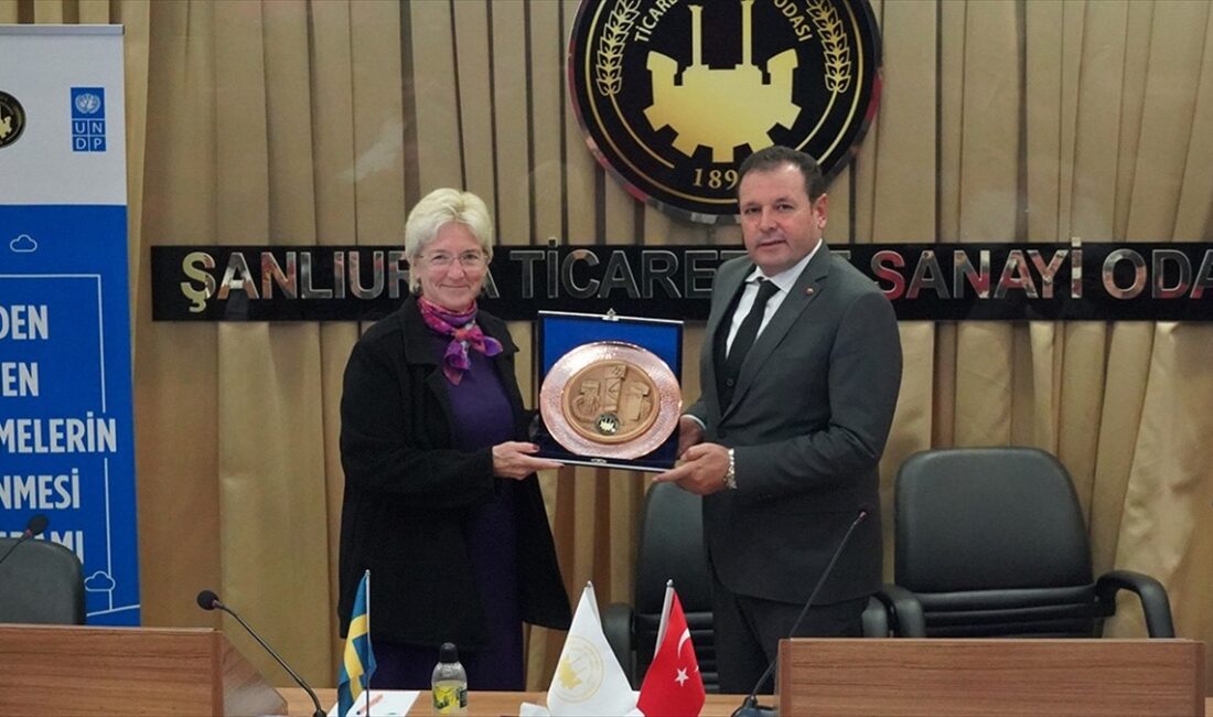 Şanlıurfa'da, Birleşmiş Milletler Kalkınma Programı (UNDP) tarafından yürütülen "Depremden Etkilenen