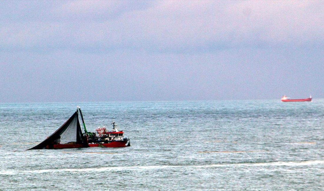 Karadeniz'in önemli balıkçı kenti Sinop'ta, fırtına nedeniyle limanda bekleyen balıkçılar,