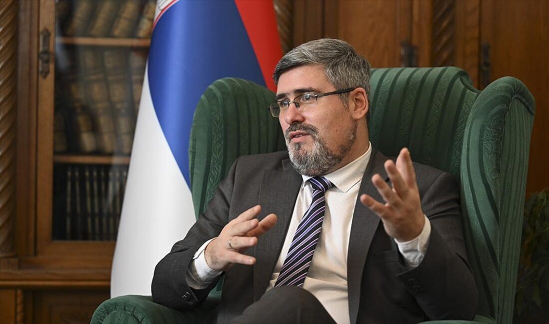 Sırbistan Savunma Bakanlığı Devlet Sekreteri Nemanja Starovic, "Türkiye'nin Balkanlar'da barış