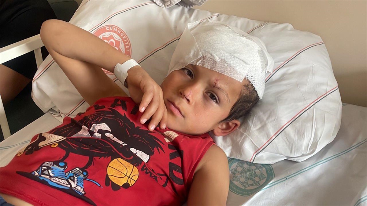 SIVAS (AA) – Sivas’ın Ulaş il&ccedil;esine bağlı Bahar&ouml;z&uuml; k&ouml;y&uuml;nde Muhammet