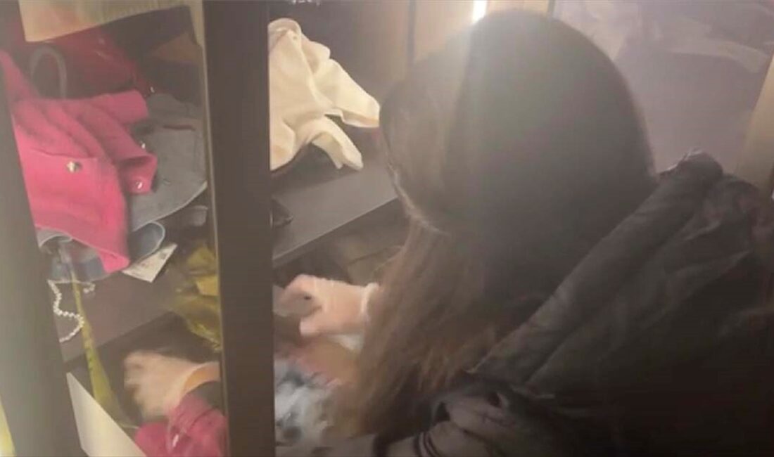 Kamuoyunda Bahar Candan ve Nihal Candan olarak tanınan sosyal medya