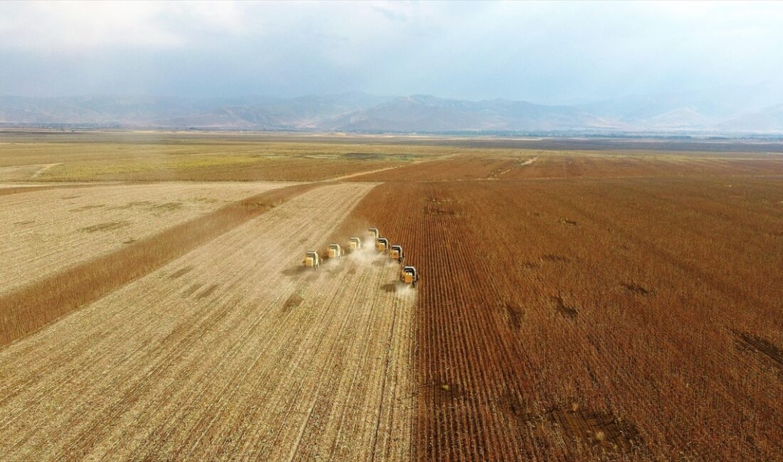 Çiftçileri don riski ve fiyat dalgalanmaları gibi olumsuzluklara karşı koruyan