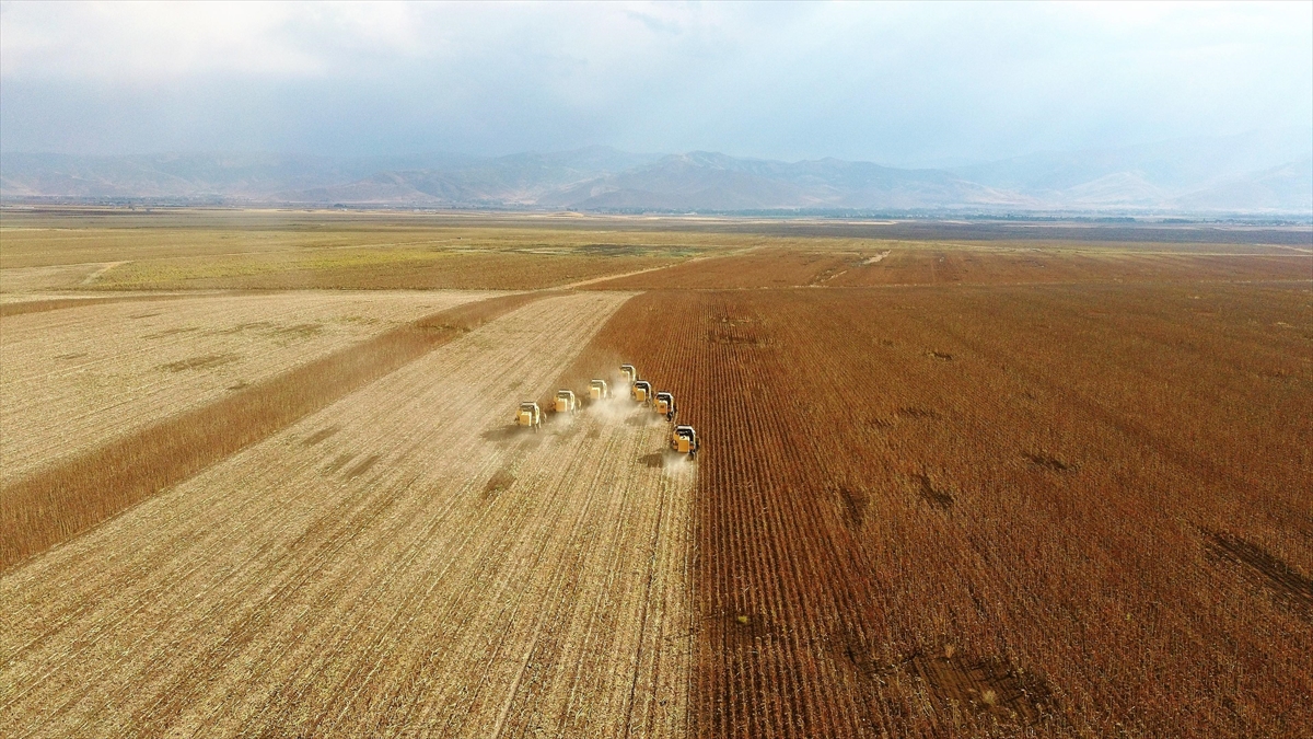 Çiftçileri don riski ve fiyat dalgalanmaları gibi olumsuzluklara karşı koruyan