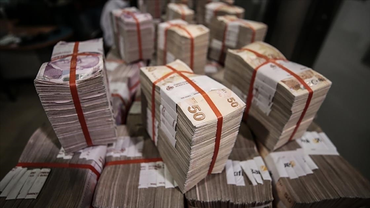 TCMB ekonomistlerinin yaptığı analizde DDM ile ilgili başlatılan TL'ye geçiş