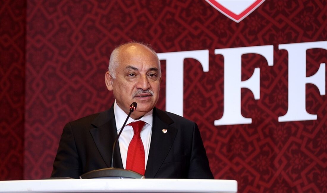İSTANBUL (AA) – Uluslararası İşbirliği Platformu (International Cooperation Platform) ile