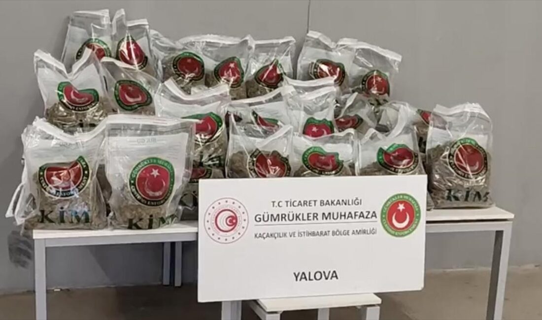 Ticaret Bakanı Ömer Bolat, Gümrük Muhafaza ekiplerince Yalova'daki liman sahasında