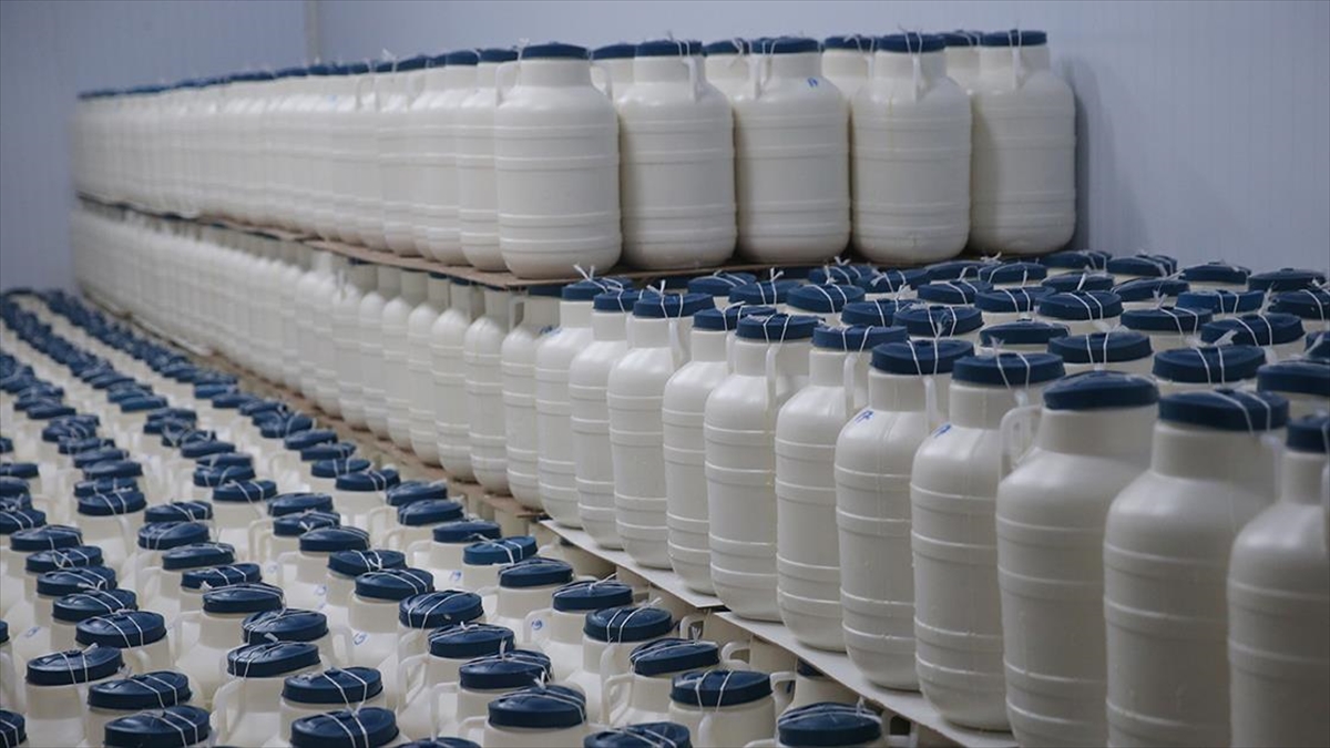 Tarım ve Orman Bakanlığı Tarım İşletmeleri Genel Müdürlüğü (TİGEM), 12