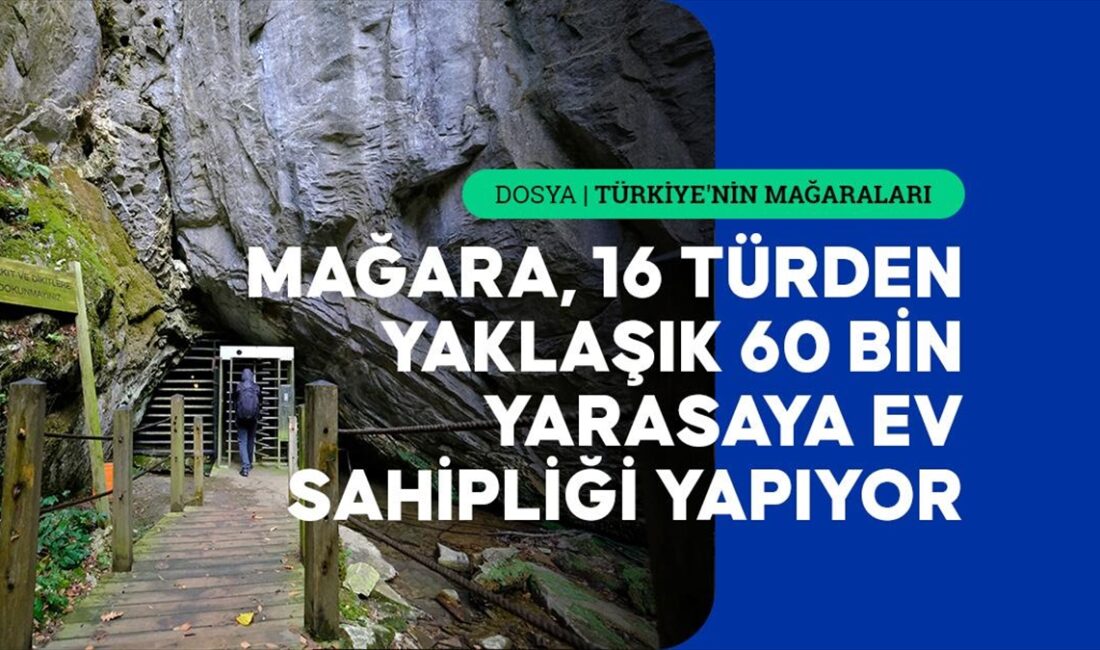 Trakya'nın turizme açık tek mağarası Dupnisa, zengin ekosistemi ve barındırdığı