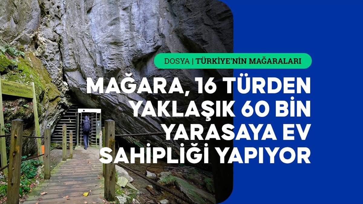 Trakya'nın turizme açık tek mağarası Dupnisa, zengin ekosistemi ve barındırdığı