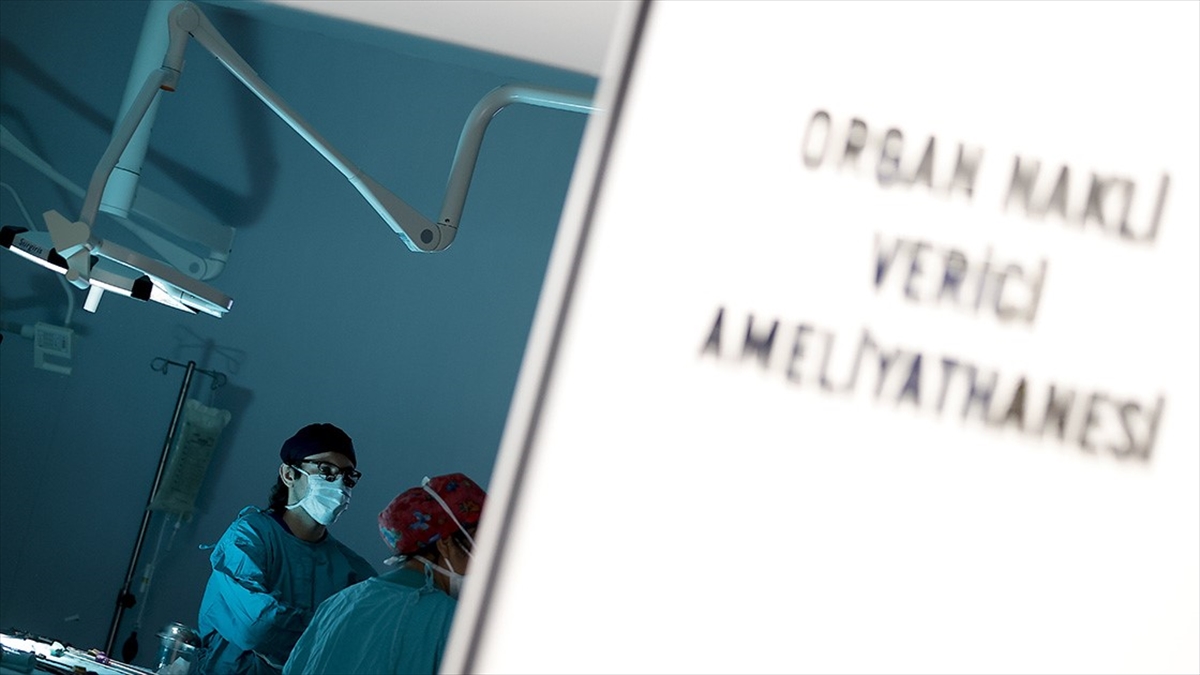 Organ Nakli Koordinatörleri Derneği Başkanı Nilgün Bilal, Türkiye'de beyin ölümü
