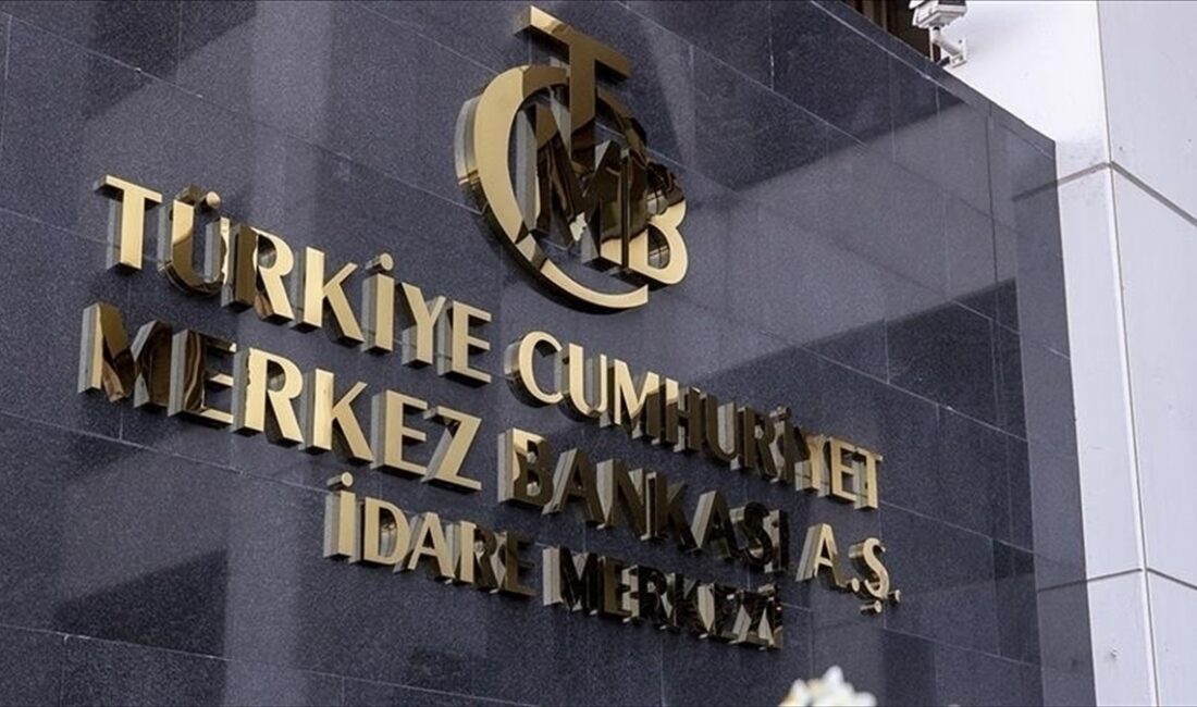 Türkiye'nin eylül sonu itibarıyla yurt dışı varlıkları 304 milyar dolar,
