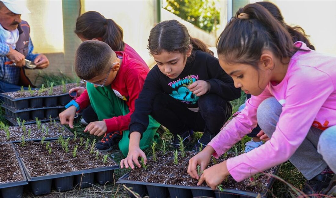 Diyarbakır'da üstün yetenekli çocuklara özel eğitim verilen Bilim ve Sanat