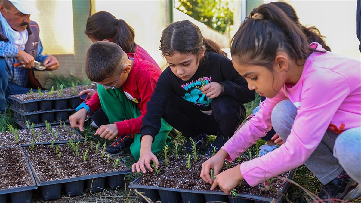 Diyarbakır'da üstün yetenekli çocuklara özel eğitim verilen Bilim ve Sanat