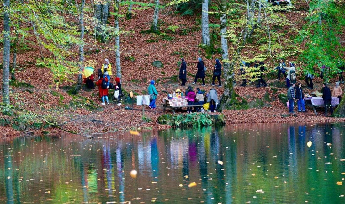 Yedigöller, sonbahar renkleri eşliğinde ziyaretçilerini ağırlıyor Bolu Yedigöller Milli Parkı'nı ziyaret edenler, sonbahar renkleriyle bütünleşen doğal