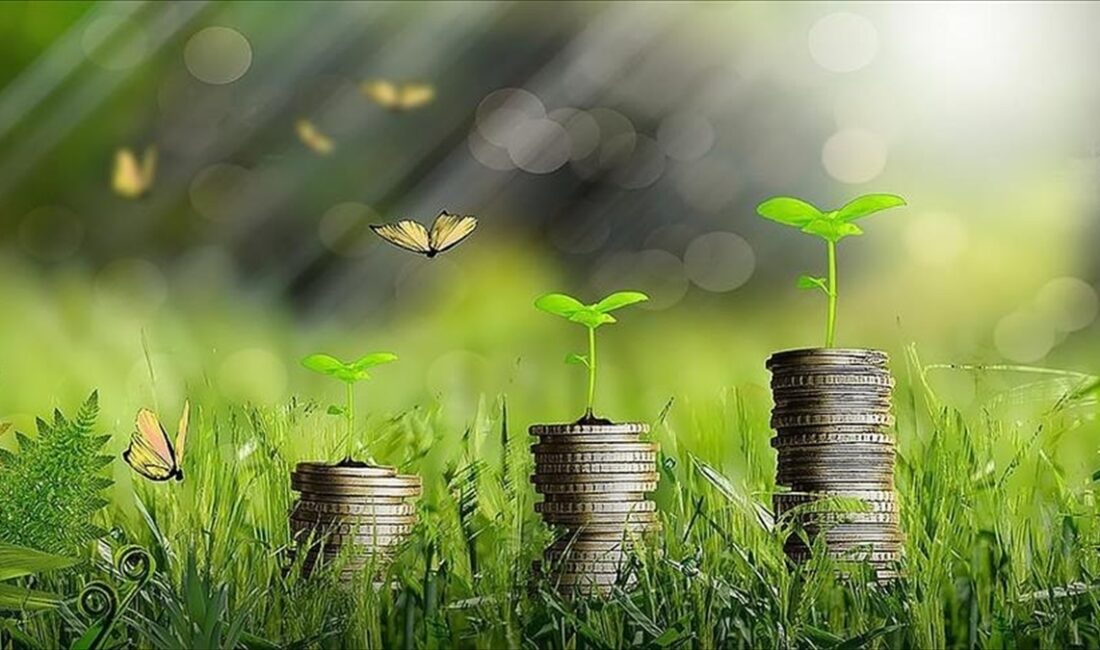 Hazine ve Maliye Bakanı Mehmet Şimşek, yeşil dönüşüm faaliyetlerin finansmanı