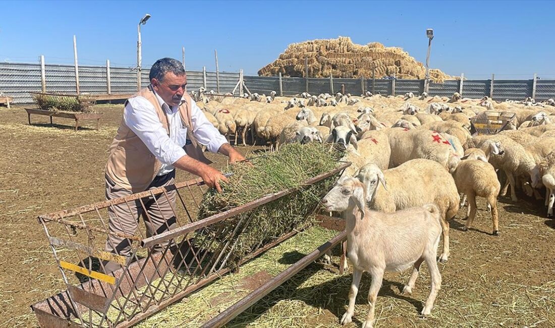 Konya Ovası Projesi (KOP) Bölge Kalkınma İdaresi Başkanlığının "Portatif Çadır